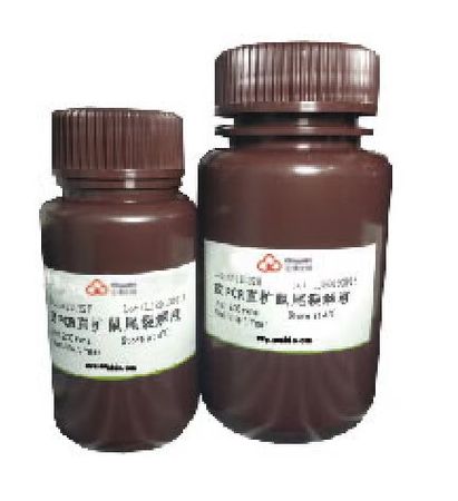 PCR直扩鼠尾裂解液200 rxns