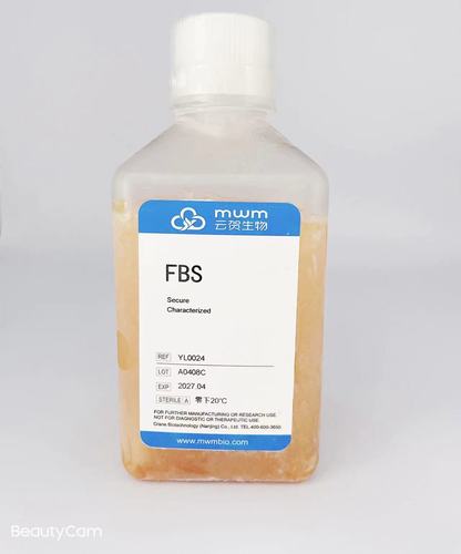 特级胎牛血清( Foetal Bovine Serum) &nbsp;B款 南美
