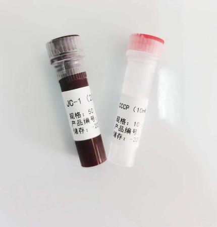 JC-1线粒体膜电位检测试剂盒 &nbsp;&nbsp;50T