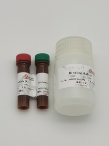 AnnexinV-FITC/PI细胞凋亡检测试剂盒(100T)