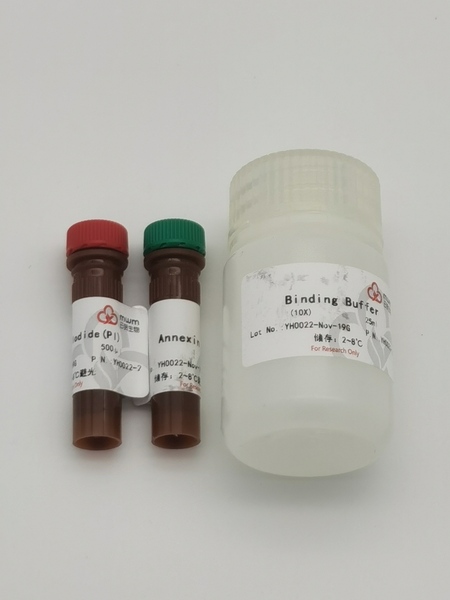 AnnexinV-FITC/PI细胞凋亡检测试剂盒(100T)