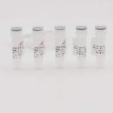 2×Universal qPCR SYBR Green Master Mix（Low Rox）1ml