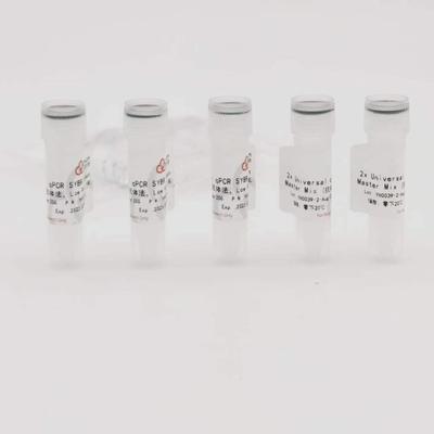 2×Universal qPCR SYBR Green Master Mix（Low Rox）1ml