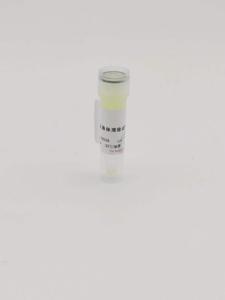 支原体清除试剂(1000X)