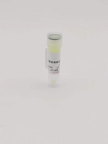 支原体清除试剂(1000X)