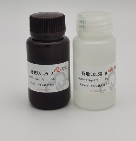 飞克 特超敏 ECL发光液 500ML