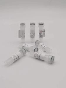 2 x Taq Master Mix &nbsp;15*1 ml