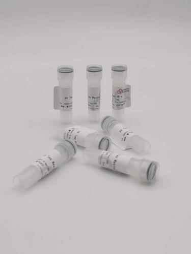 2 x Taq Master Mix &nbsp;50*1 ml