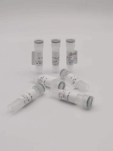 2 x Taq Master Mix &nbsp;15*1 ml