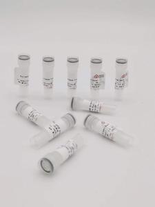 2×qPCR SYBR Green Master Mix（No Rox）1ml