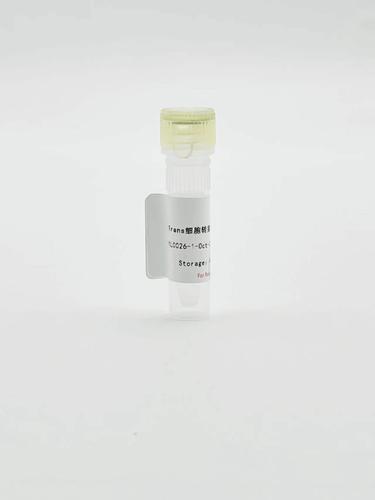 Crane细胞转染试剂（高效）1ml