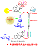 天然活性成分的制备工艺开发