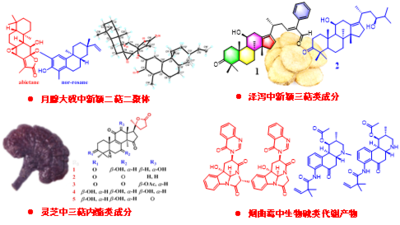 植物、中药、微生物中化学成分的分离与鉴定