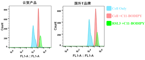 脂质过氧化传感器 （BODIPY™ 581/591 C11） - 云贺生物